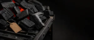Professional restaurant cooking over a charcoal grill